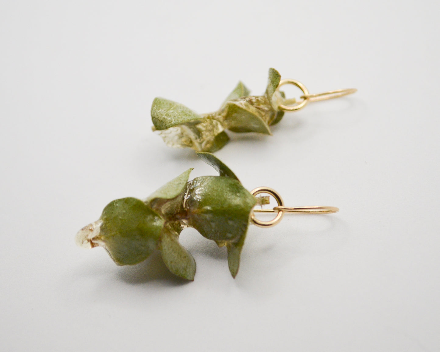 Spiral Eucalyptus Rock Candy