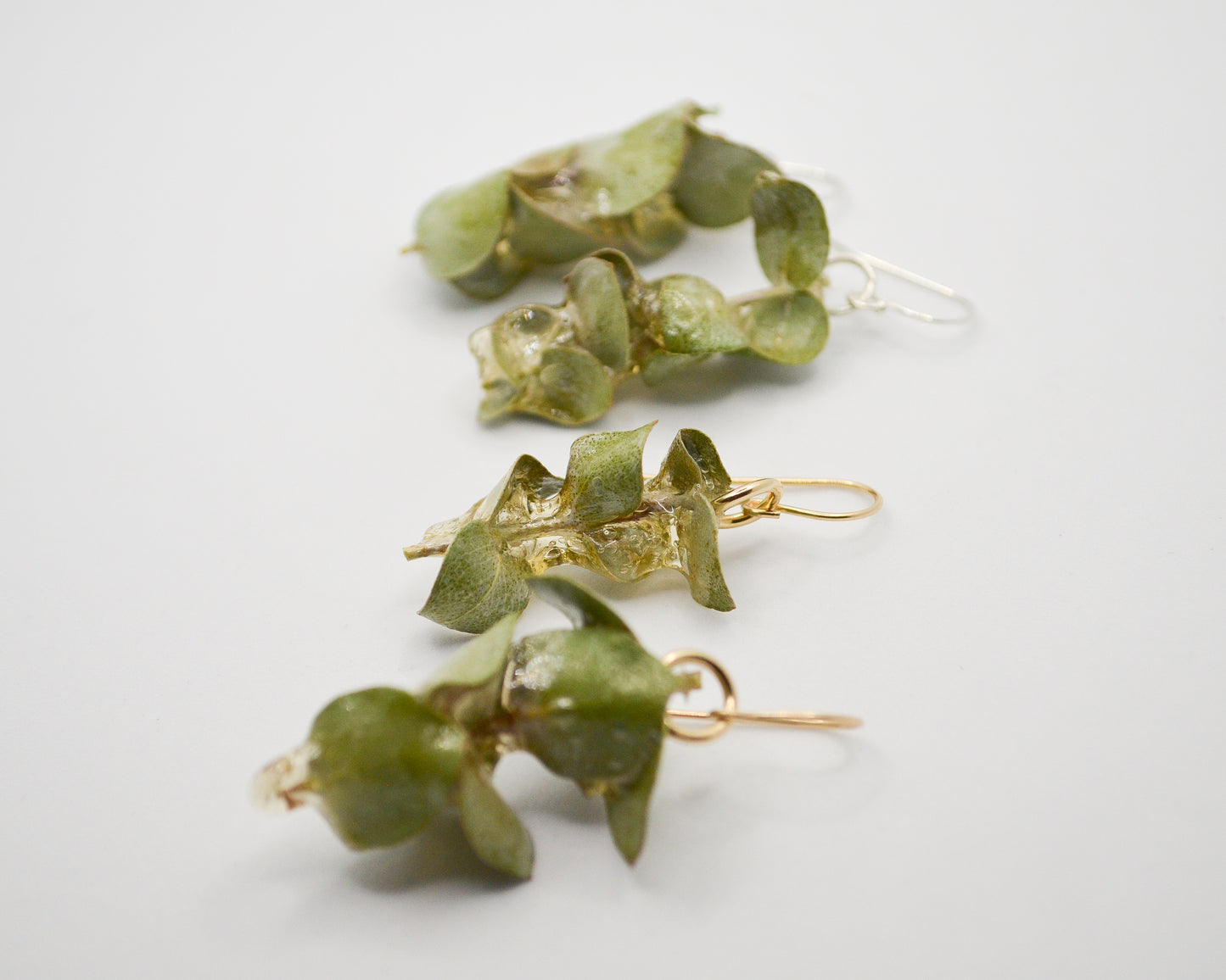 Spiral Eucalyptus Rock Candy