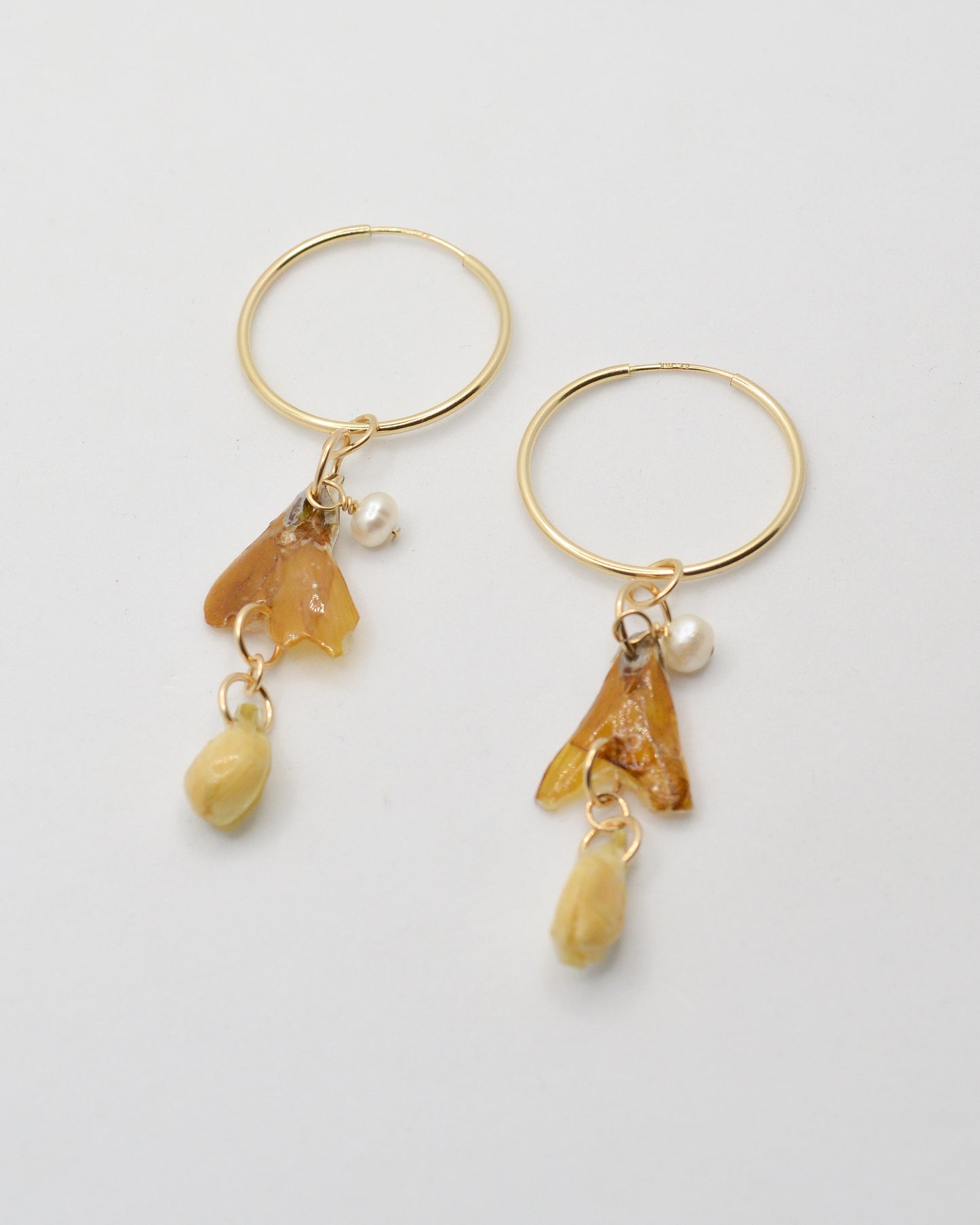Sunshine Hoops