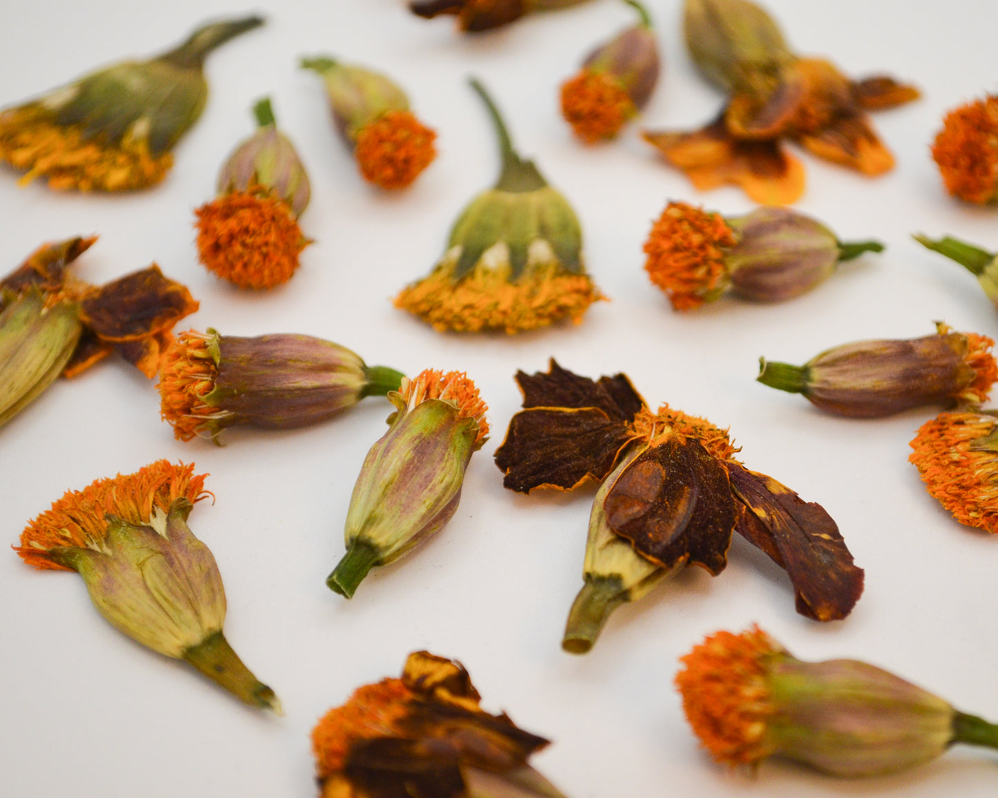 Marigold Petal Drops