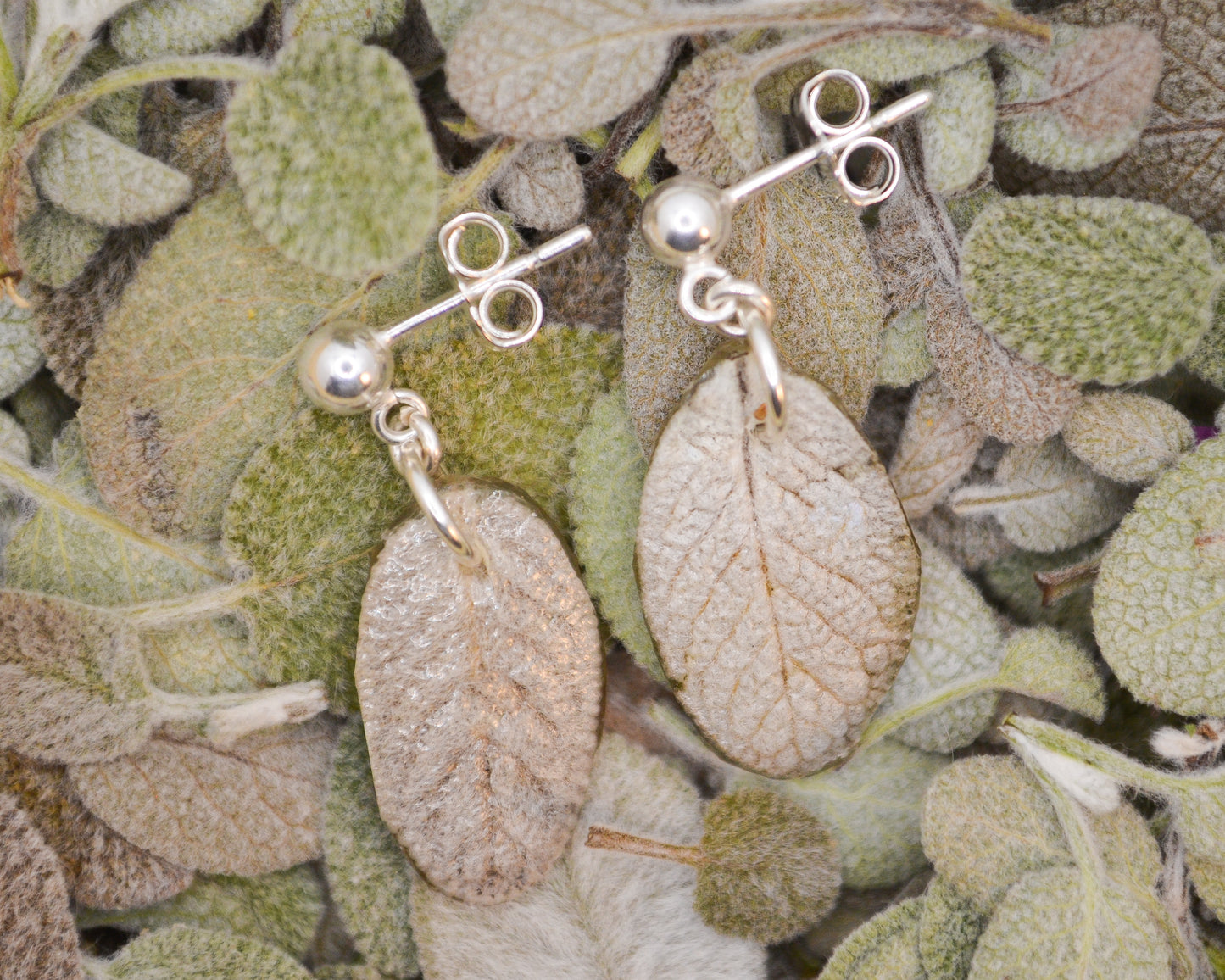 Garden Sage Studs