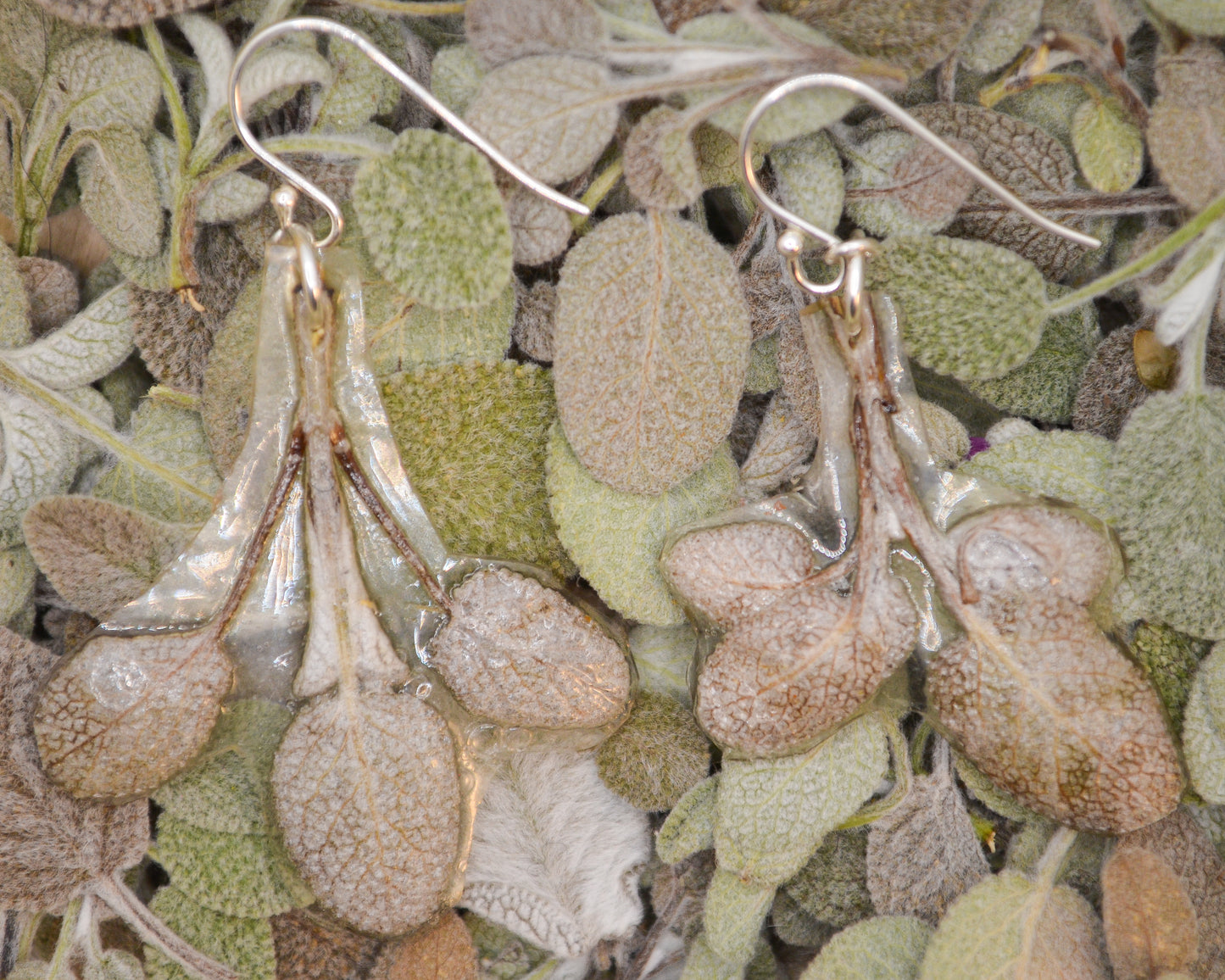 Garden Sage Dangles