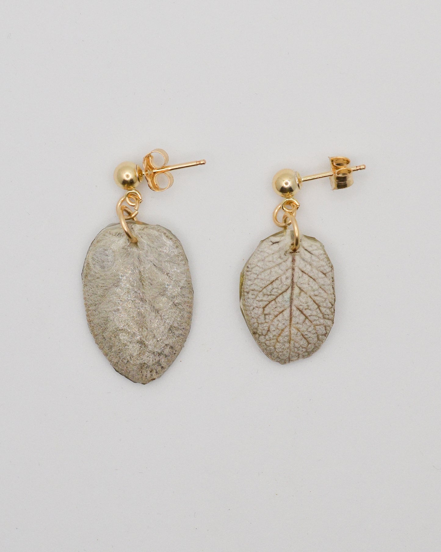 Garden Sage Studs