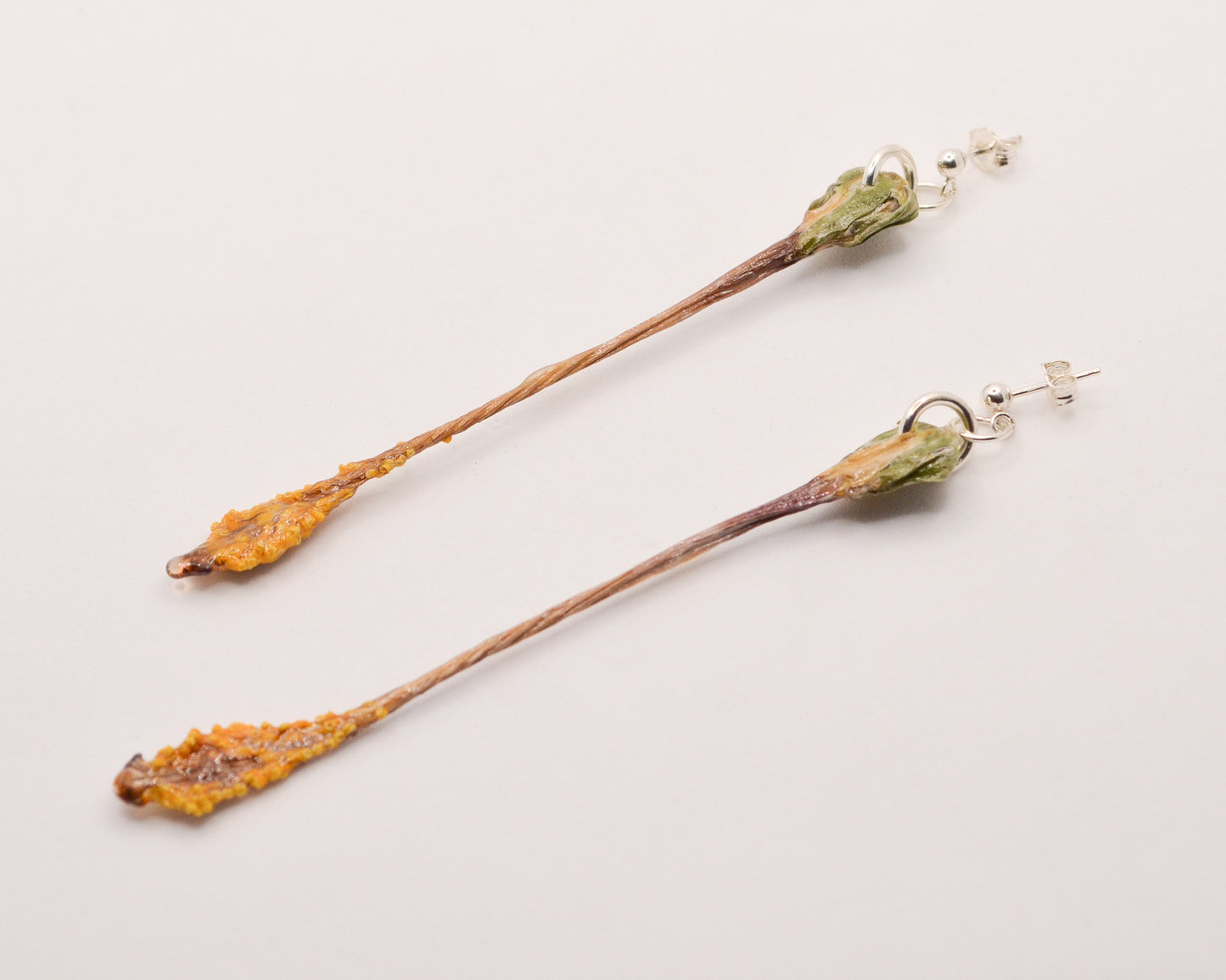Hibiscus Pistils