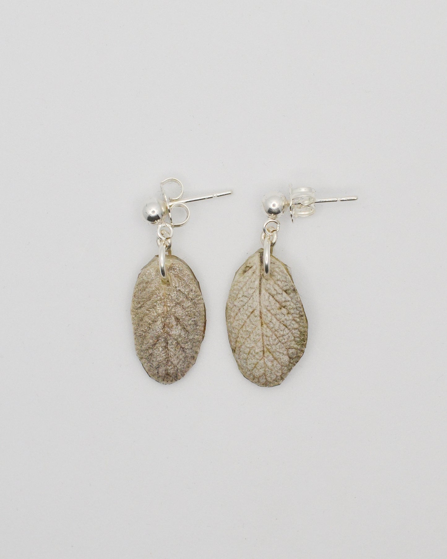 Garden Sage Studs